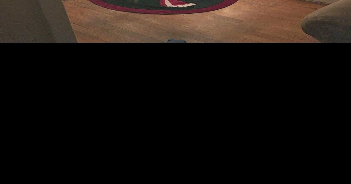 5 Christmas trees available on national forest land