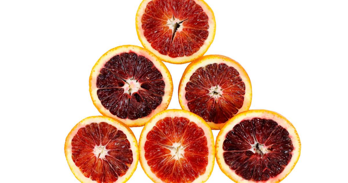 Citrus Fruits A Bright Spot In The Produce Aisle Archives Benningtonbanner Com Citrus Fruits A Bright Spot In The Produce Aisle Archives Benningtonbanner Com