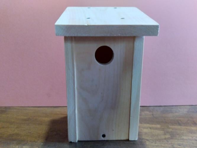 Building a bluebird house Outdoors