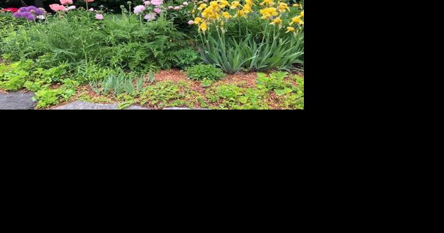 2023 Arlington Garden Tour coming July 22 - Vimarsana News
