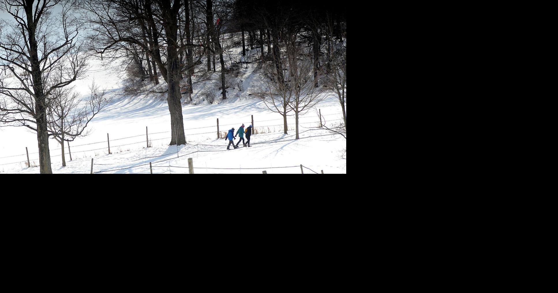 United Counseling Service: Striving for good mental health this winter | Health