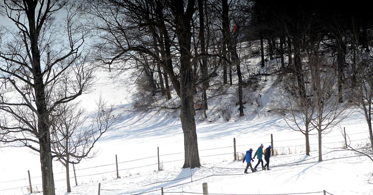 United Counseling Service: Striving for good mental health this winter | Health United Counseling Service: Striving for good mental health this winter | Health