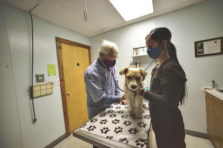 'It's not just medicine' Dummerston veterinarian retires Local News