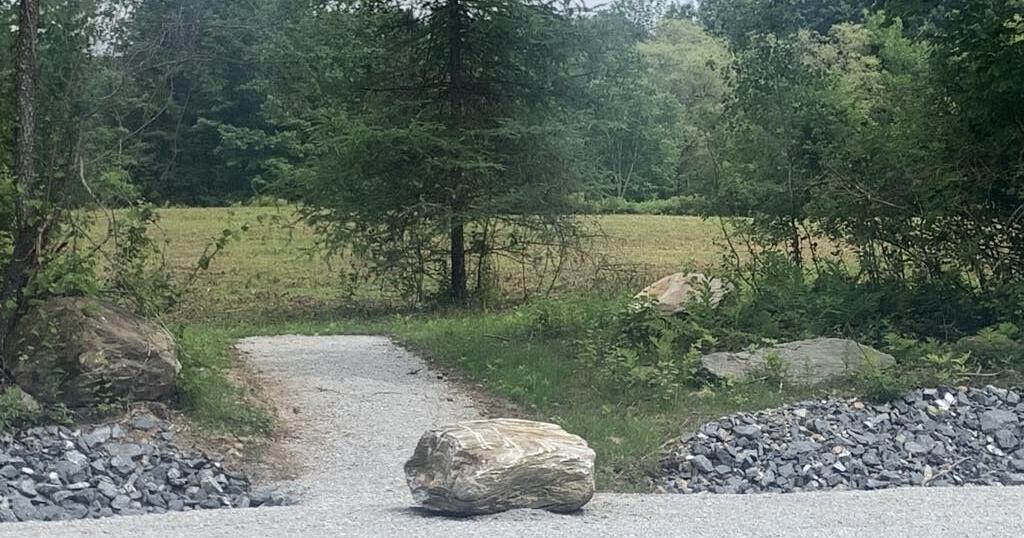 Dog Park organizational meeting held in Shaftsbury