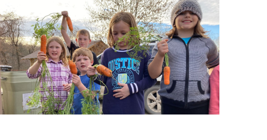 Farm to School and Early Childhood Vision Grant now accepting applications - Vimarsana News