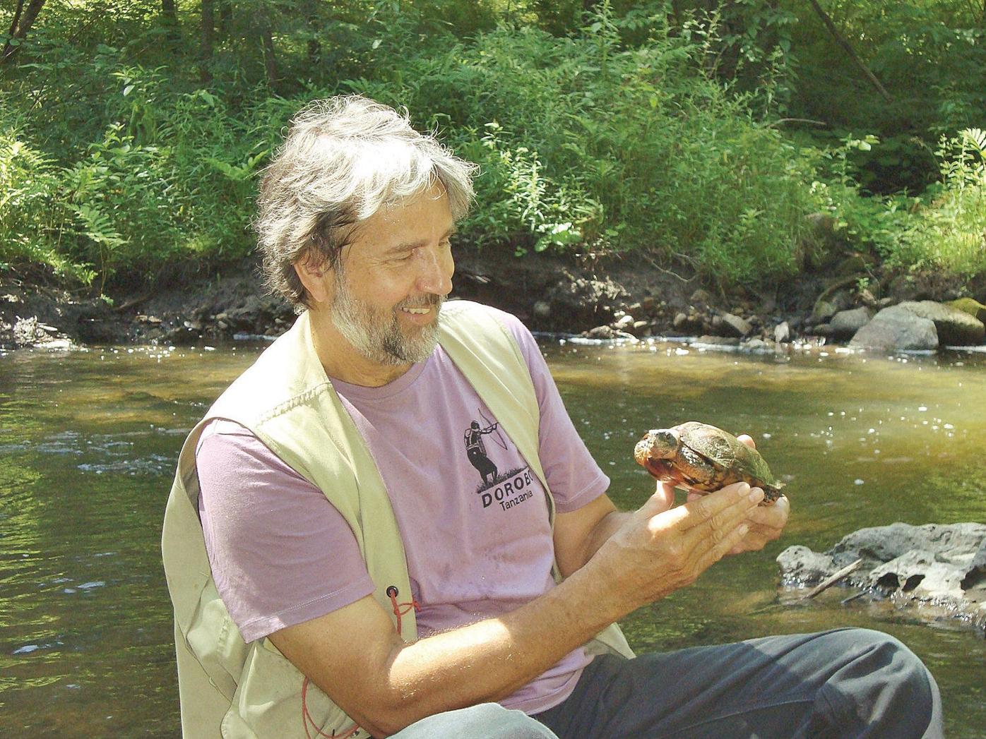 Think Twice Before Taking A Native Turtle Home Archives Benningtonbanner Com Think Twice Before Taking A Native Turtle Home Archives Benningtonbanner Com