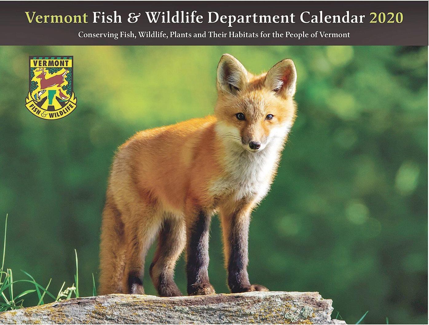 Fish & Wildlife calendar now available | Archives | benningtonbanner.com