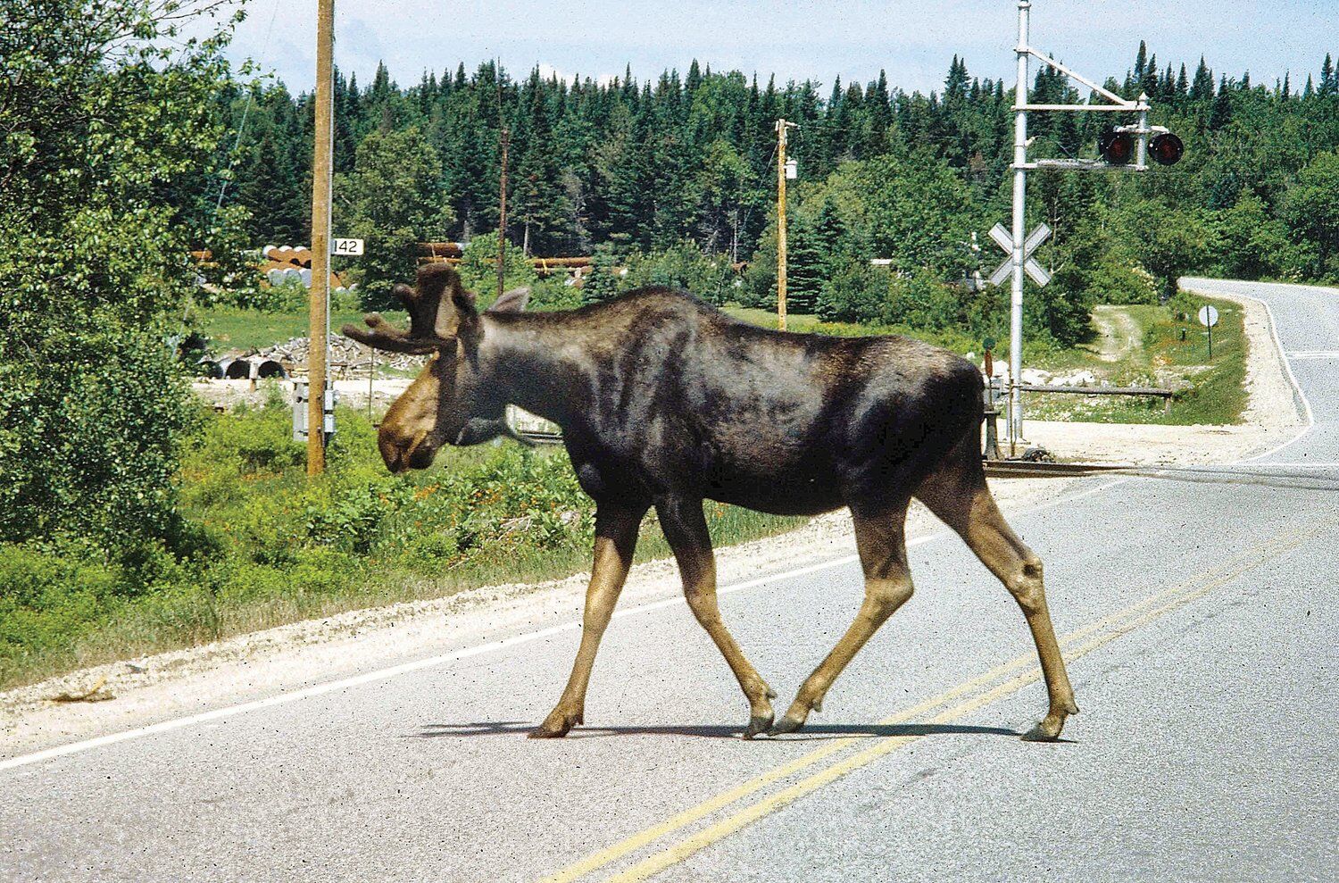 Moose small outlet engine repair