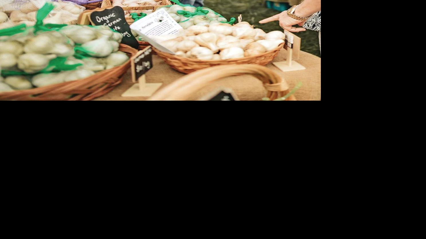 Bennington Garlic Festival 2022