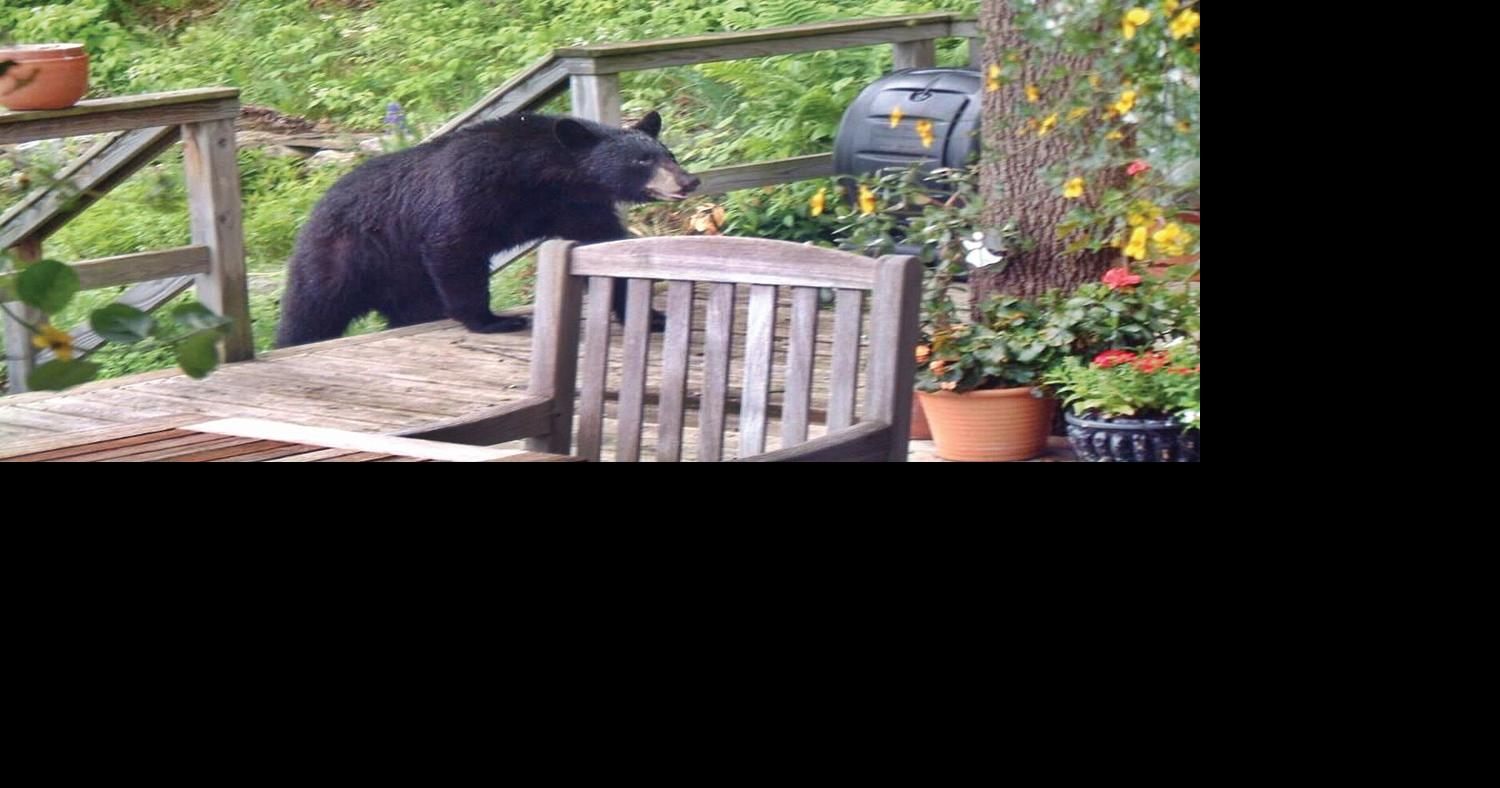 Safe composting in bear country Archives