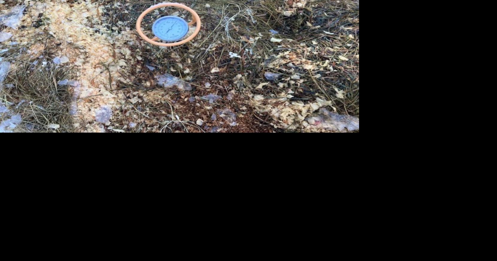 Master gardening: Active composting in winter | Outdoors