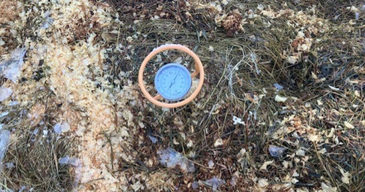 Master gardening: Active composting in winter | Outdoors Master gardening: Active composting in winter | Outdoors