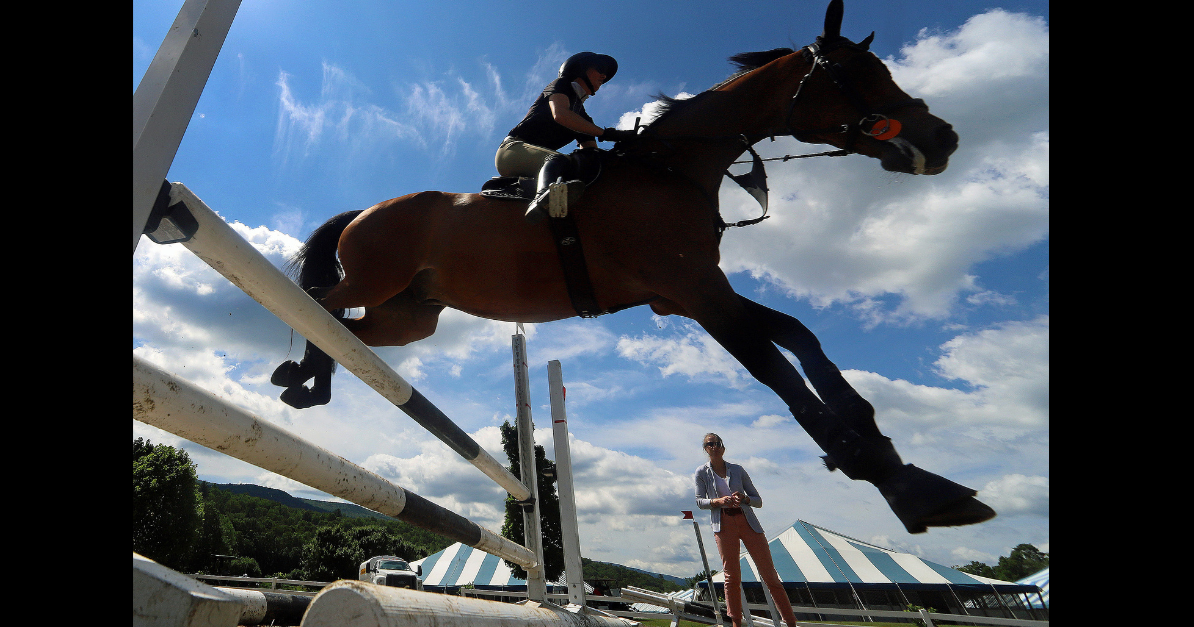 30-year strong Vermont Summer Festival horse show returns to Dorset