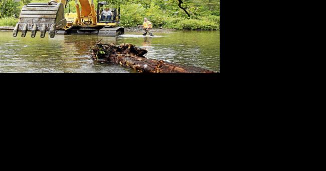 25 years of Battenkill restoration efforts have paid off | Local News - Vimarsana News