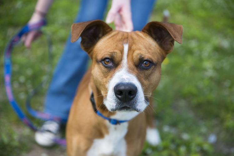 2022-06-28-PETSOFTHEWEEK_H.jpg