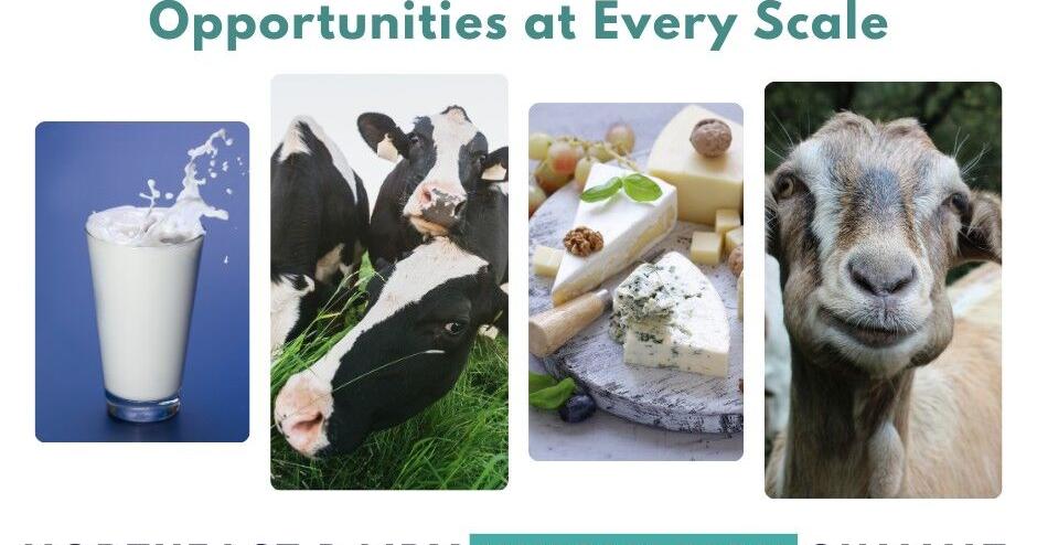 Northeast Dairy leaders to gather for Regional Innovation Summit in Albany