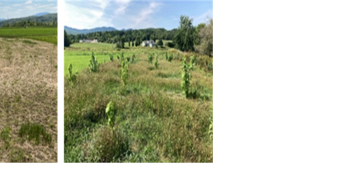 Vermont releases report on Clean Water Initiative - Vimarsana News