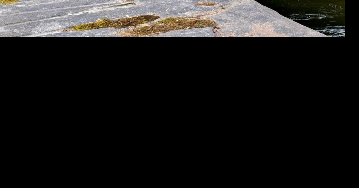 Sewell Hodges  frog playground  Continental Quarry/