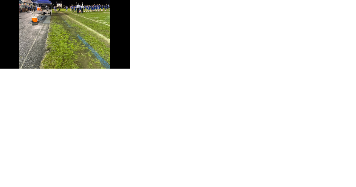 LETTER: In support of turf and upgrades at Spinelli Field - Vimarsana News