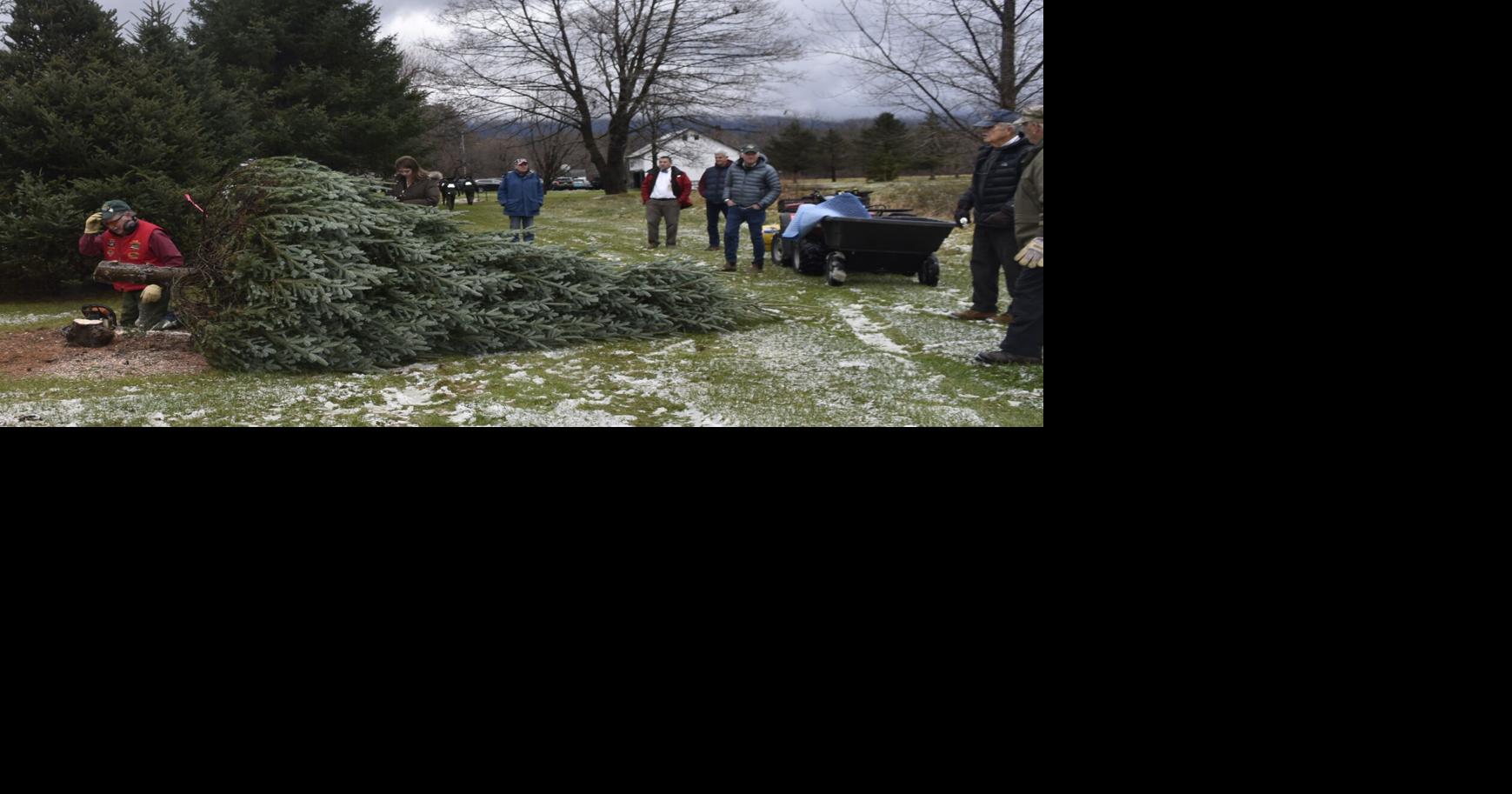 Vermont Veterans Home Christmas tree Bennington Local News