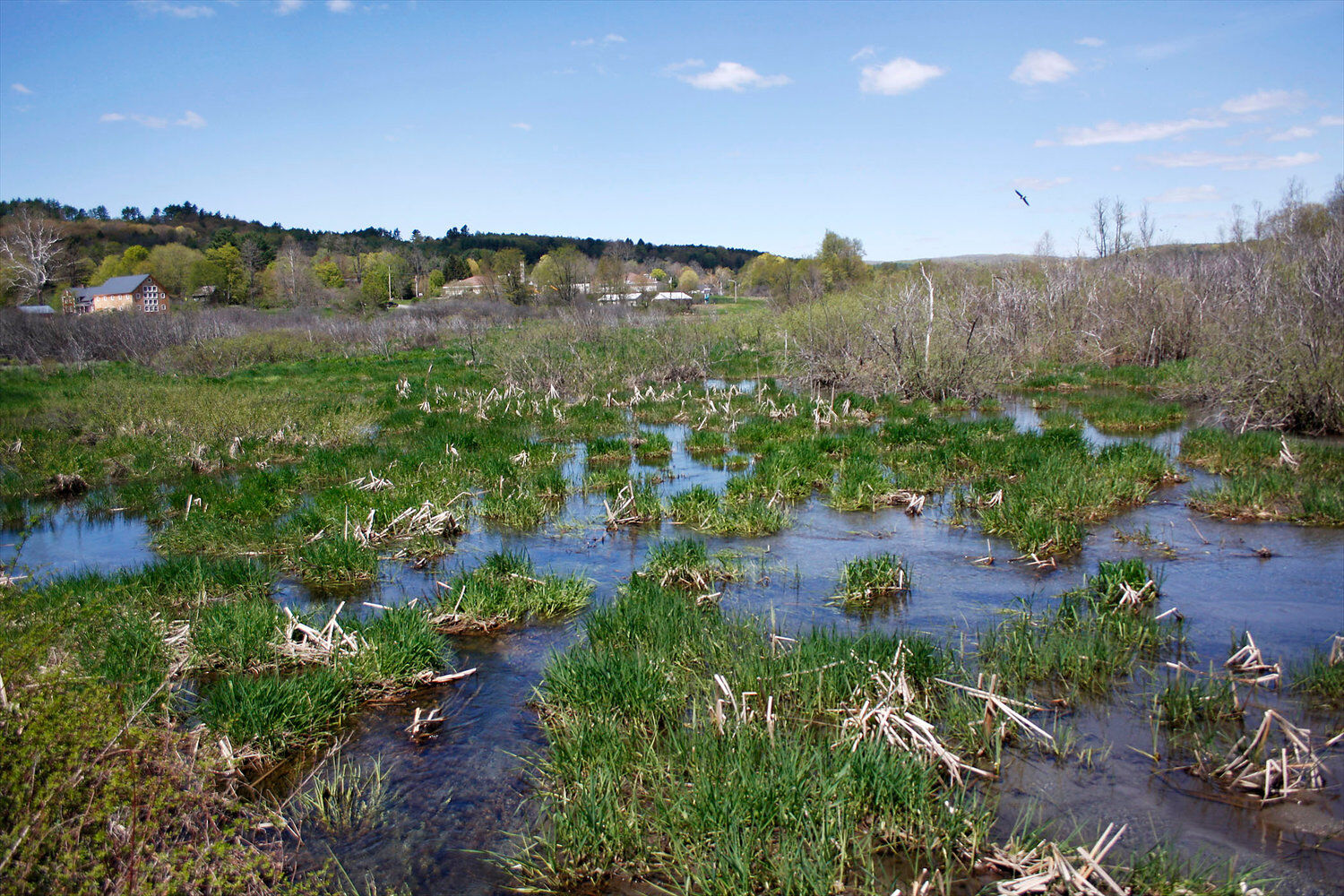 Upcoming clean water lectures with Vermont DEC Community