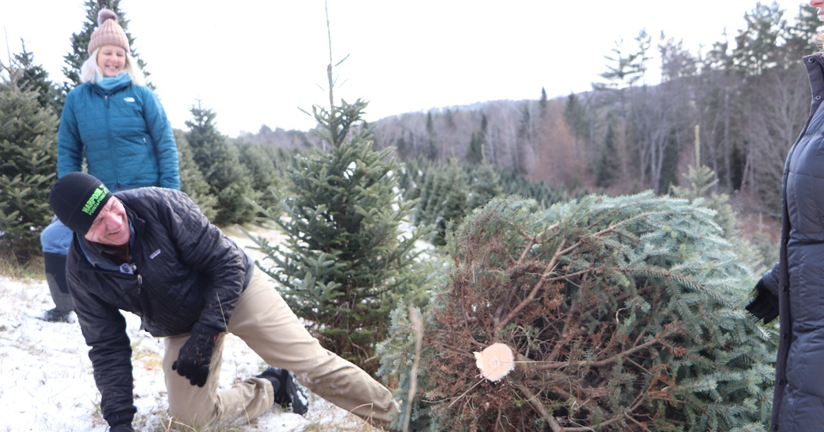 Christmas tree cutting event celebrates Vermont’s rural economy and culture