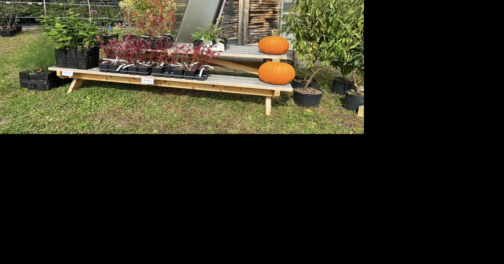 Champlain Valley Restoration Nursery announces fall open house and