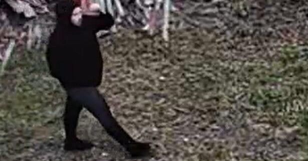 Bennington police investigate armed robbery of Park Street business