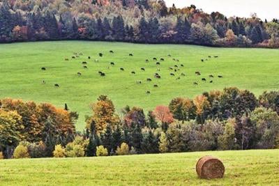 Panel questions agriculture Act 250 exemption