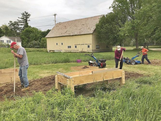 Community garden effort revived in Arlington