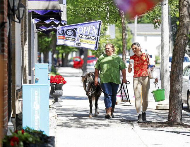 Horse walks on Main Street to promote equine program Archives