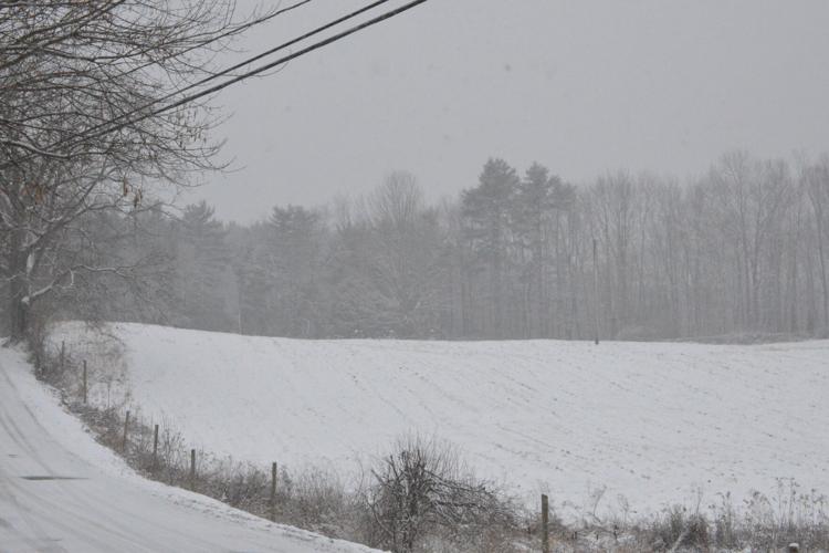 Photos A still and peaceful winter scene Local News