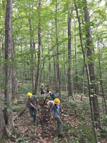 Students volunteer in local forests