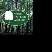 Vermont Woodlands Association annual meeting planned for Oct. 29 - Vimarsana News