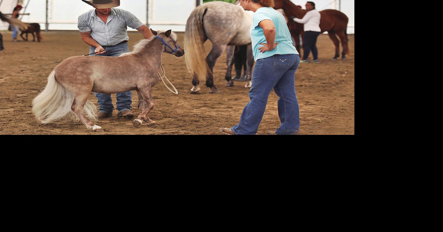 Top horse trainer instructs riders at Pownal farm Archives