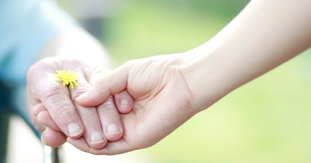 Families First in Southern Vermont to celebrate a year of service