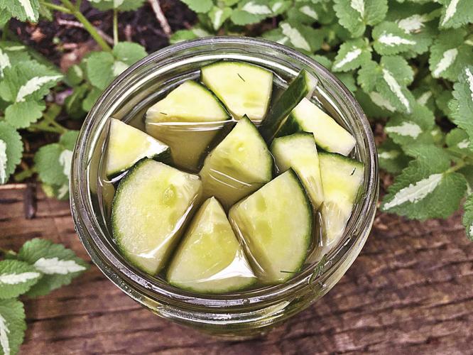 Fresh herbs from the garden shine in refrigerator pickles