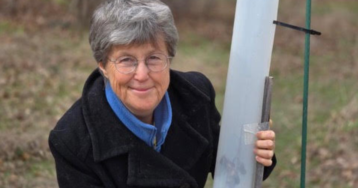 North Bennington resident honored with Vermont Tree Steward Award