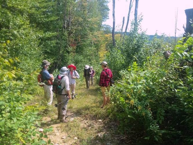 The Pinnacle starts fundraising for 600 acre purchase Local News