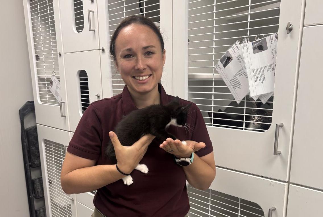 New director restructures Benton Animal Services after parvo outbreak, leadership change