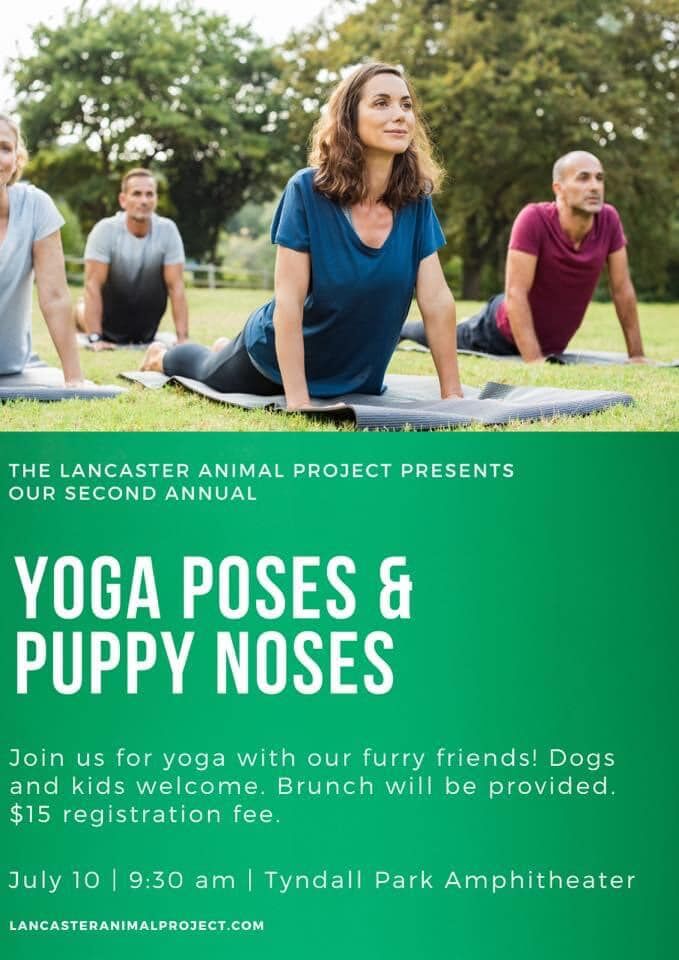 Are Dog Allowed At Tyndall Park