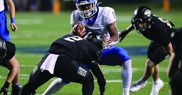 Several Hornets earn All-State nods