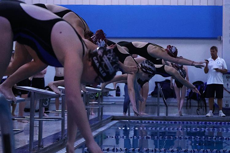 dive in