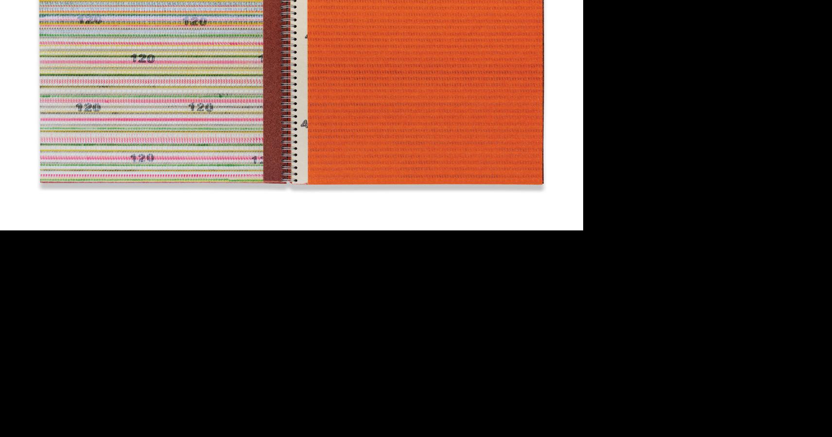 ART REVIEW: From sandpaper to fabric, 'Typescripts' showcases Raffaella della Olga’s inventive, tactile mastery