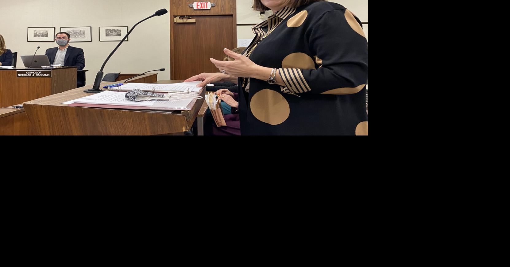 Tyer's tax rate greenlit as Pittsfield council rejects using additional