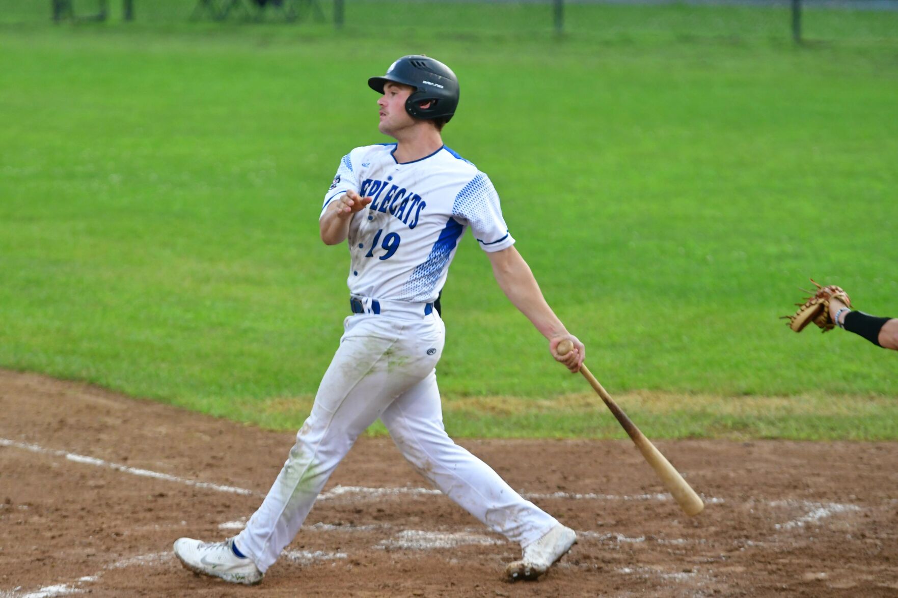 SteepleCats Tackett, Hannon named NECBL All-Star Game starters Local Baseball berkshireeagle