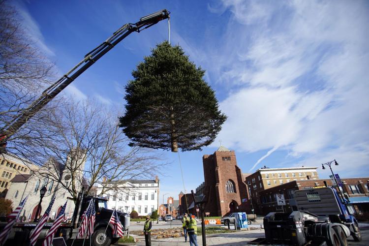 The Pittsfield holiday tree arrived in Park Square