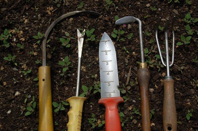 Hand tools for weeding