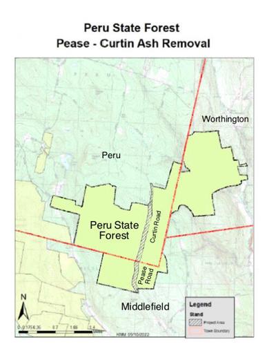 Ash removal in Peru State Forest