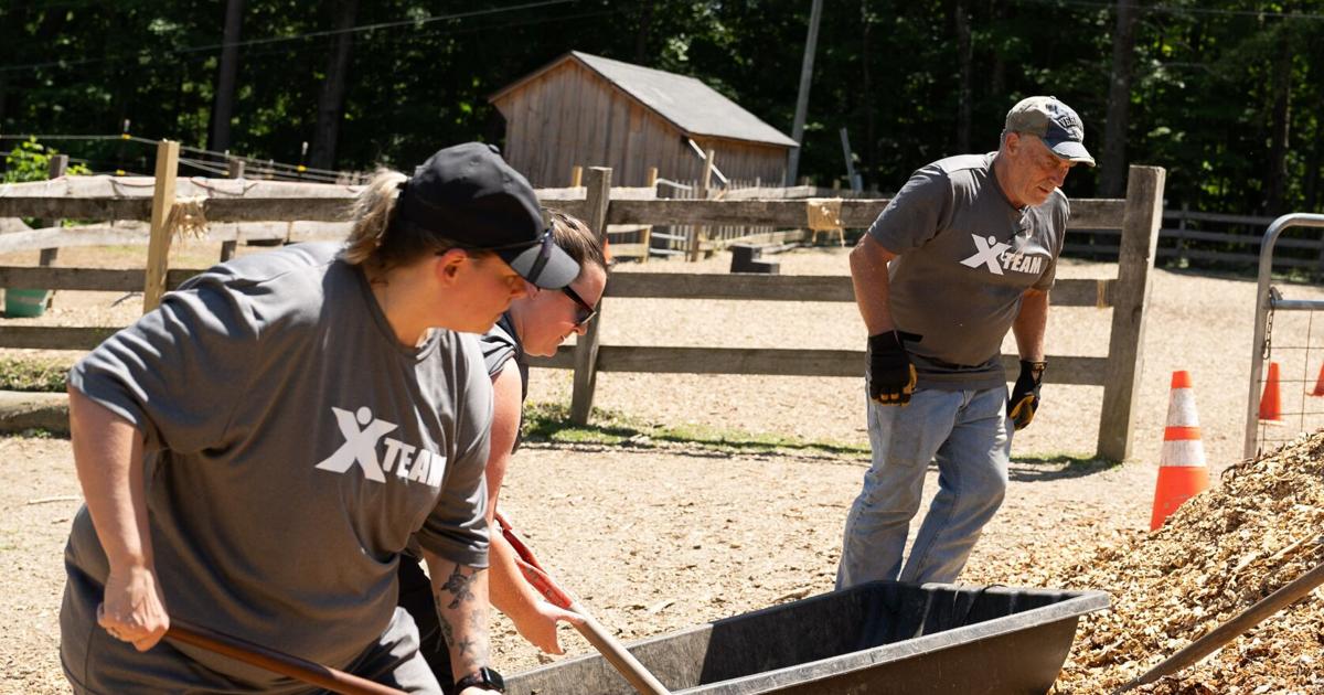 Stacey Phillips (left) and Jim Rodda (right) at work at Berkshire ...